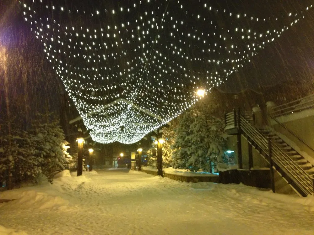 Expert landscape installation experts serving Steamboat Springs, CO - Aspen Tree Service Steamboat Springs