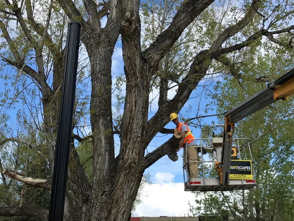 Local garden landscaping for homes across Steamboat Springs, CO - Aspen Tree Service Steamboat Springs