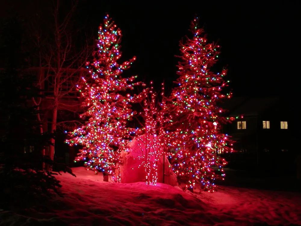 Professional outdoor landscaping experts serving Steamboat Springs, CO - Aspen Tree Service Steamboat Springs