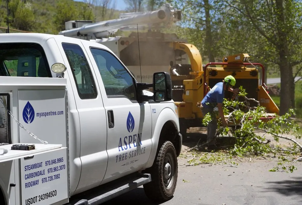 Reliable outdoor landscaping in Steamboat Springs, CO by Aspen Tree Service Steamboat Springs
