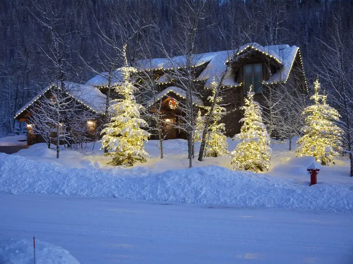 Reliable landscape installation in Steamboat Springs, CO - Aspen Tree Service Steamboat Springs