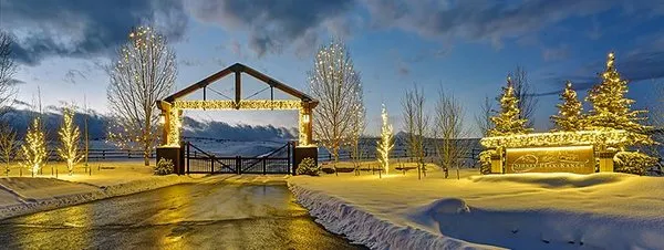 Aspen Tree Service Steamboat Springs