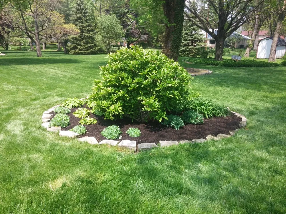 Expert landscaping services in Dayton, OH - Asper Lawn and Landscape