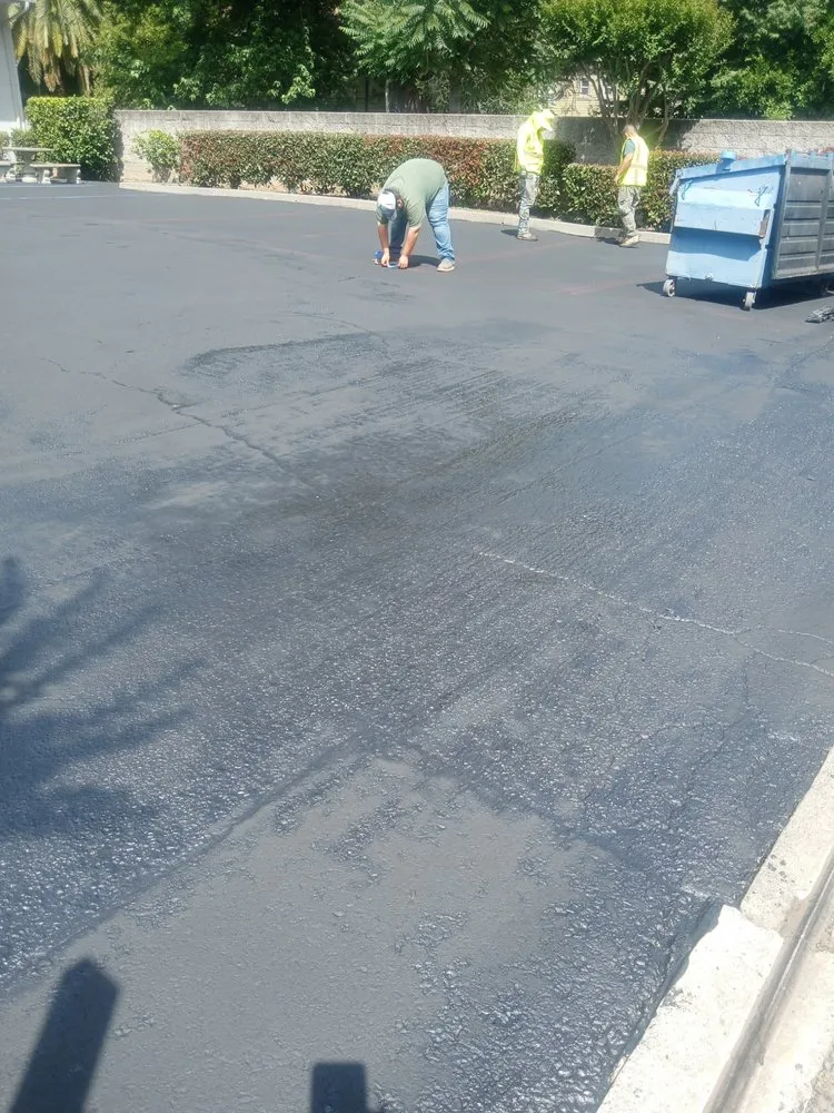 Expert yard cleanup service experts serving Stockton, CA - Asphalt Kings