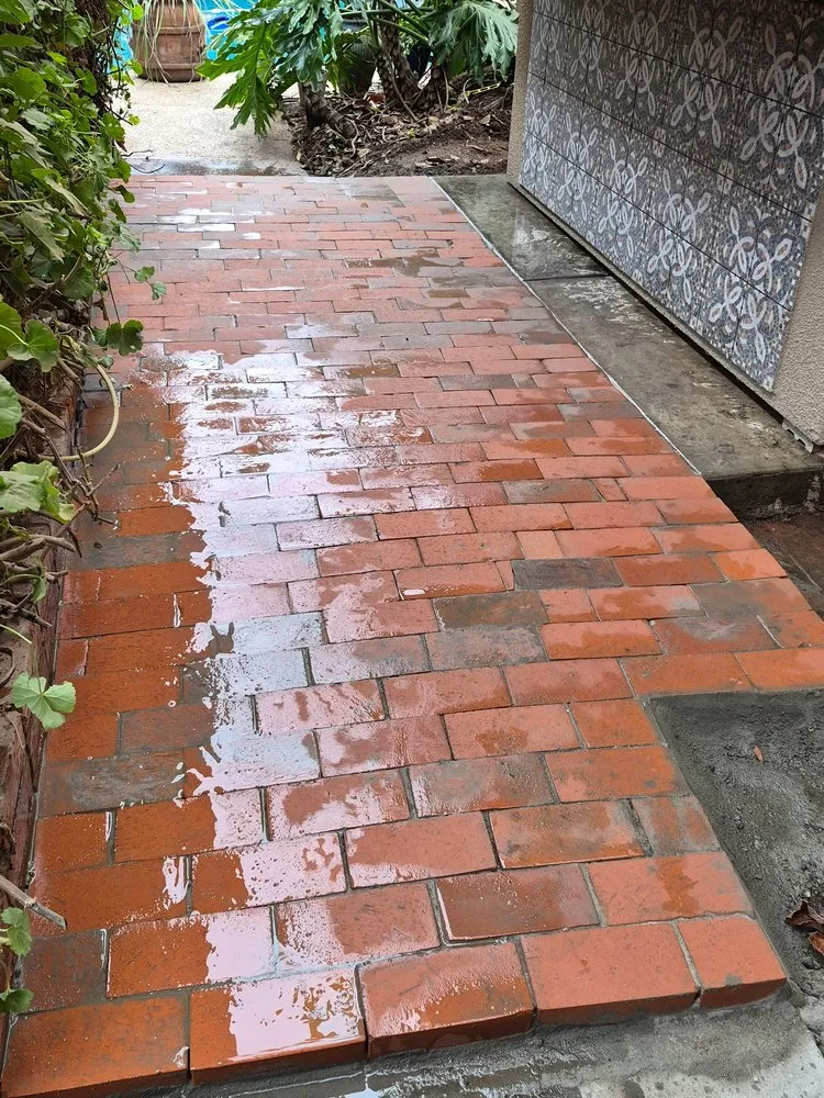 Professional residential landscaping in Stockton, CA - Asphalt Kings