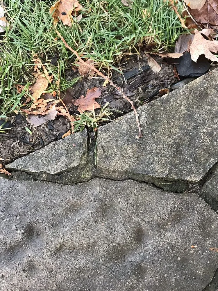 Custom landscape design in Chittenango, NY by Aspinall's Tree Nursery & Landscaping