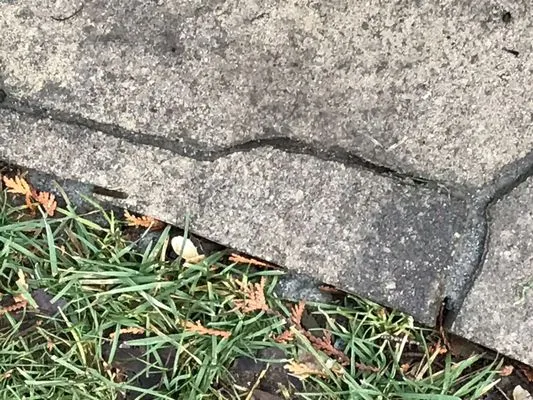 Aspinall's Tree Nursery & Landscaping