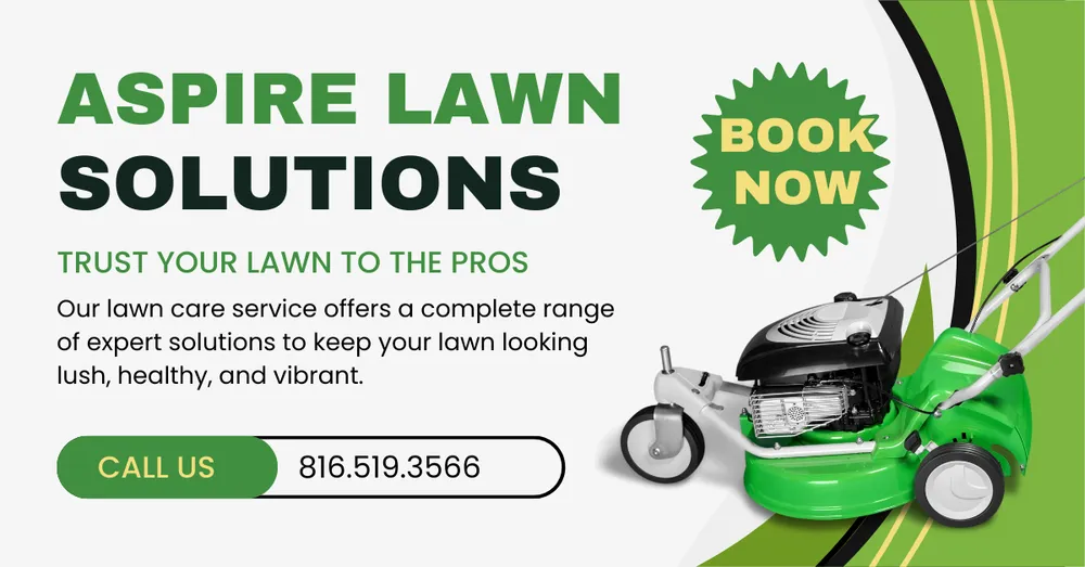 Trusted outdoor landscaping in Kansas City, MO by Aspire Lawn Solutions