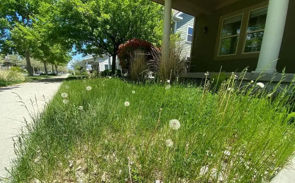 Top-rated landscaping services experts serving Fort Pierce, FL - Aspire Services