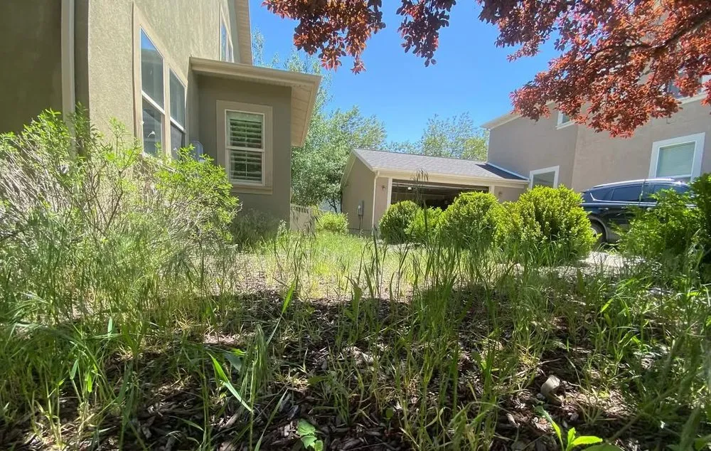 Reliable lawn care service for residential properties in Fort Pierce, FL by Aspire Services