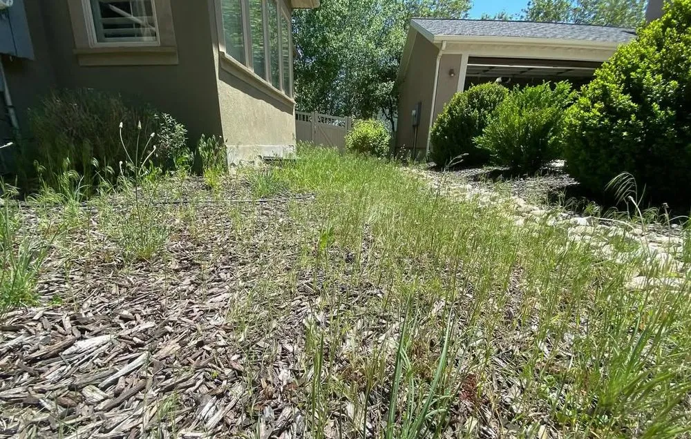 Expert residential landscaping for outdoor upgrades in Fort Pierce, FL by Aspire Services