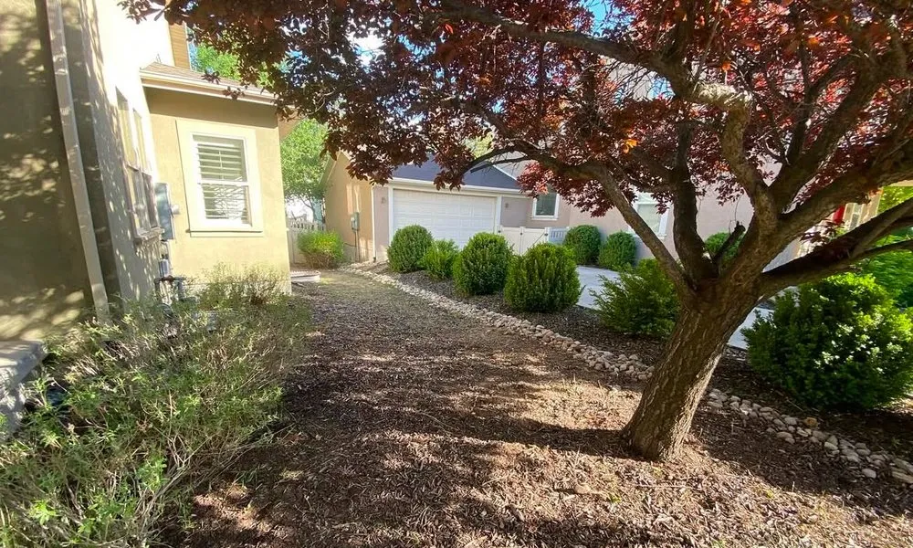 Expert landscape installation in Fort Pierce, FL by Aspire Services