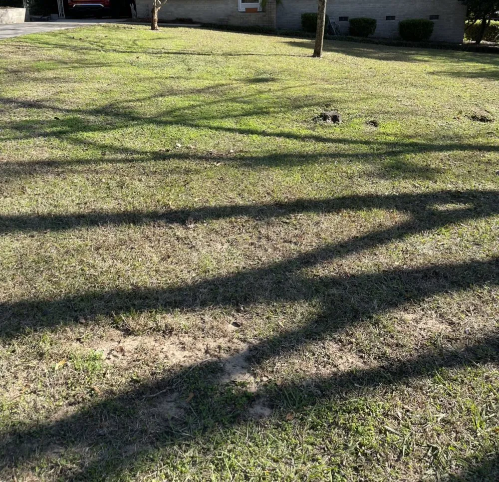 Local yard cleanup service in Lee, FL - ASR Affordable Stump Removal