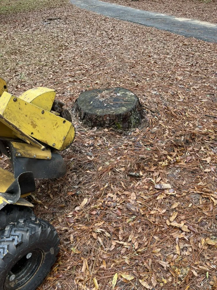 Reliable garden landscaping in Lee, FL - ASR Affordable Stump Removal