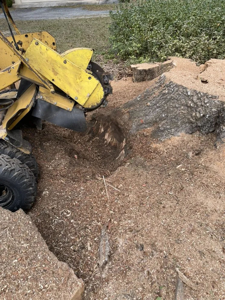 Top-rated landscaping services with custom design in Lee, FL by ASR Affordable Stump Removal