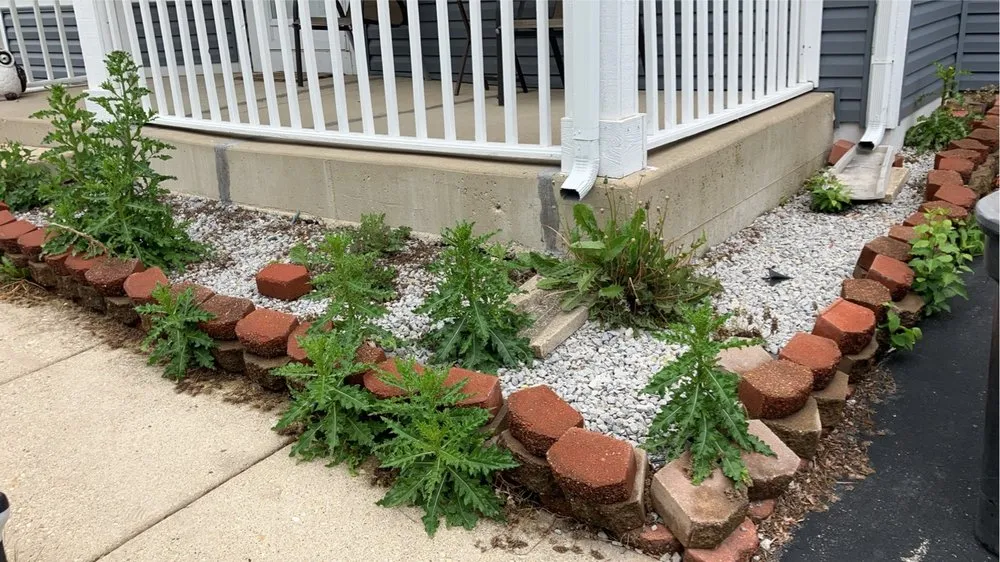 Reliable outdoor landscaping in North Aurora, IL by ASR Creative Flower Bed Specialist