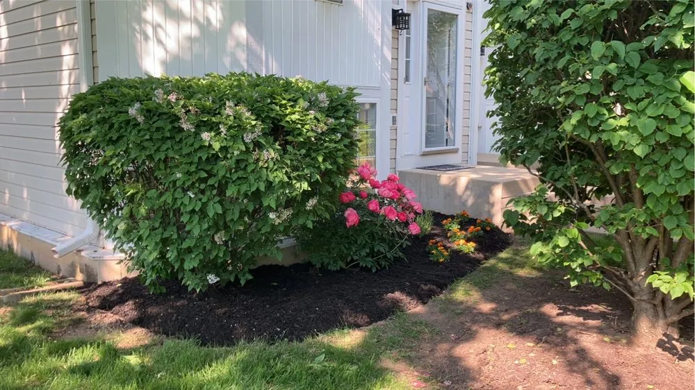 Expert landscaping services in North Aurora, IL - ASR Creative Flower Bed Specialist