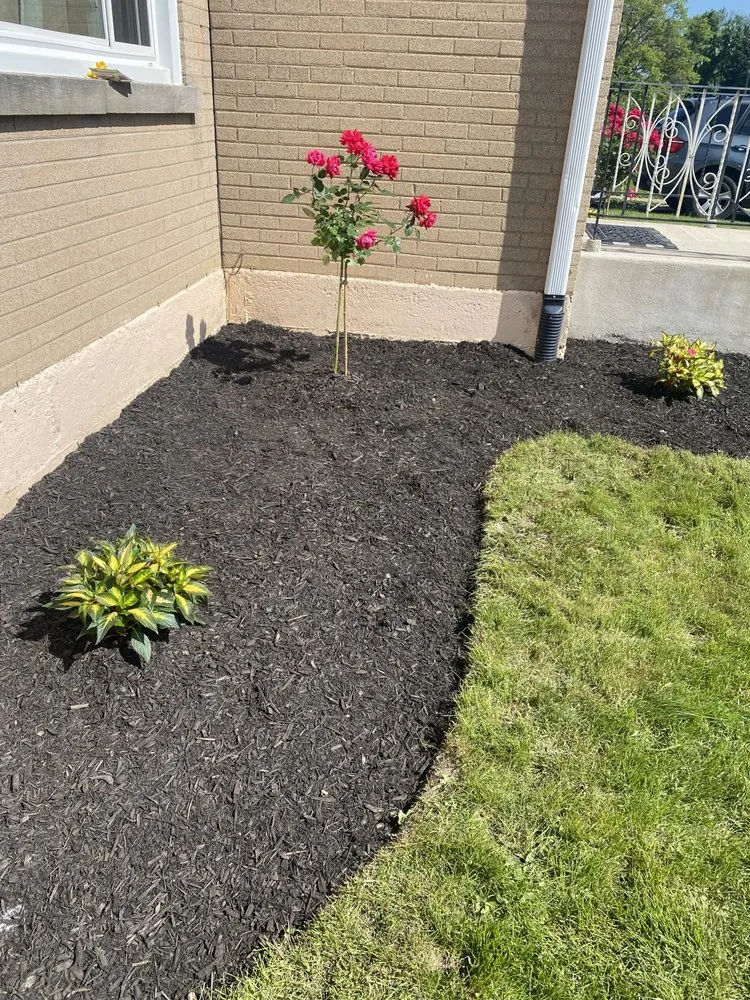 Top-rated yard maintenance in North Aurora, IL by ASR Creative Flower Bed Specialist