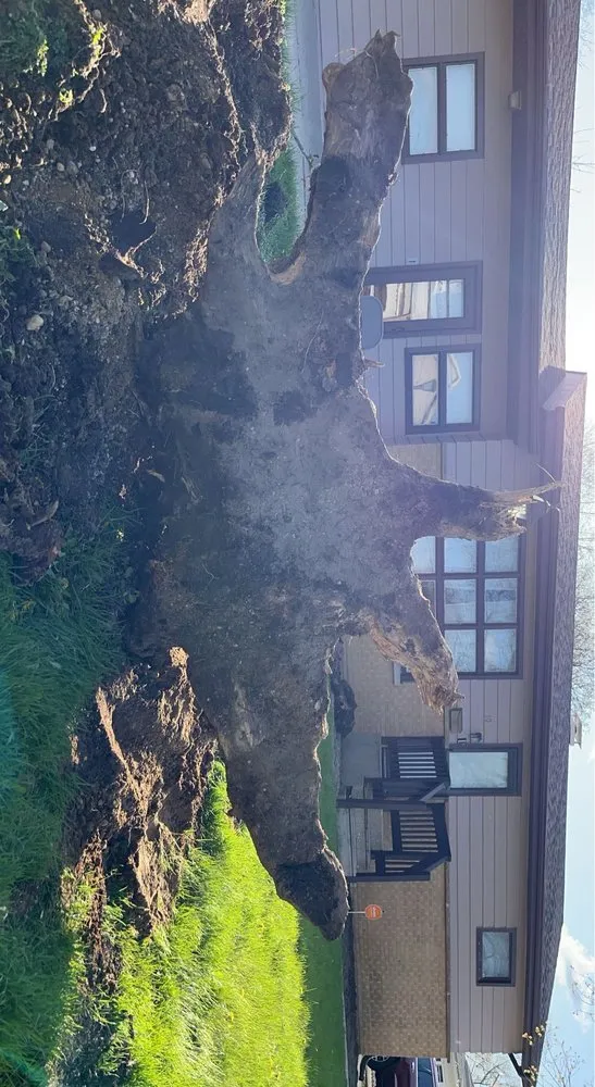 Local lawn care service for year-round maintenance in North Aurora, IL by ASR Creative Flower Bed Specialist