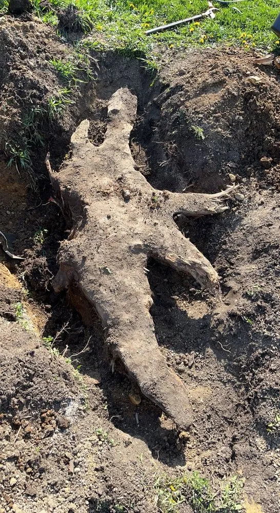 Expert landscape design in North Aurora, IL by ASR Creative Flower Bed Specialist