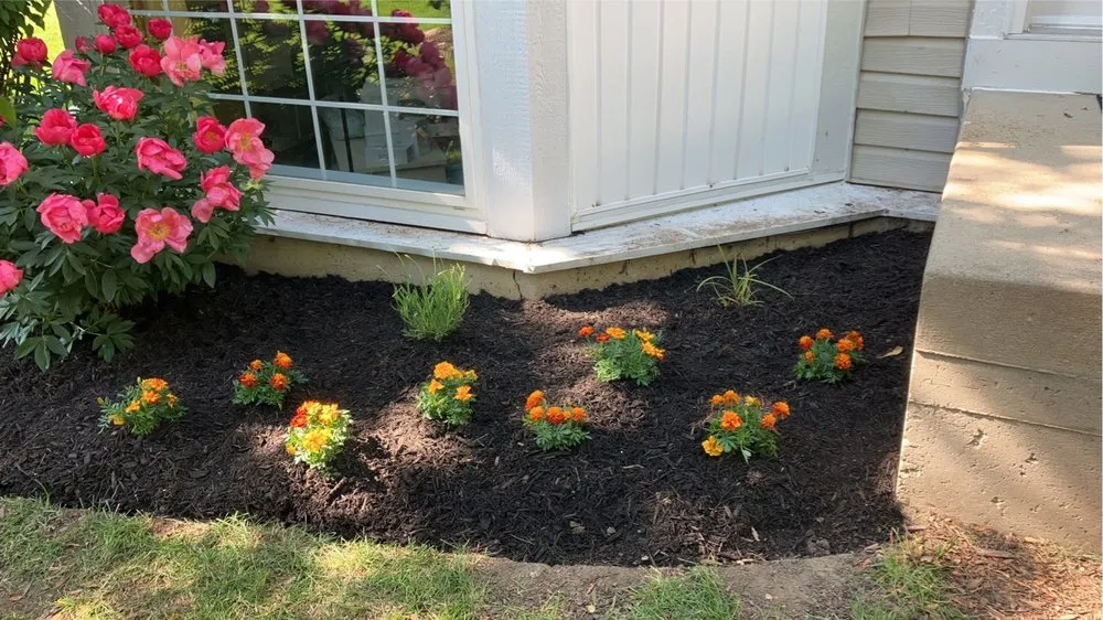 Trusted outdoor landscaping with custom design across North Aurora, IL - ASR Creative Flower Bed Specialist