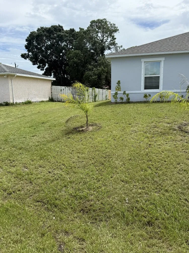 Expert landscape installation for residential properties across Palm Bay, FL - ASR Landscaping