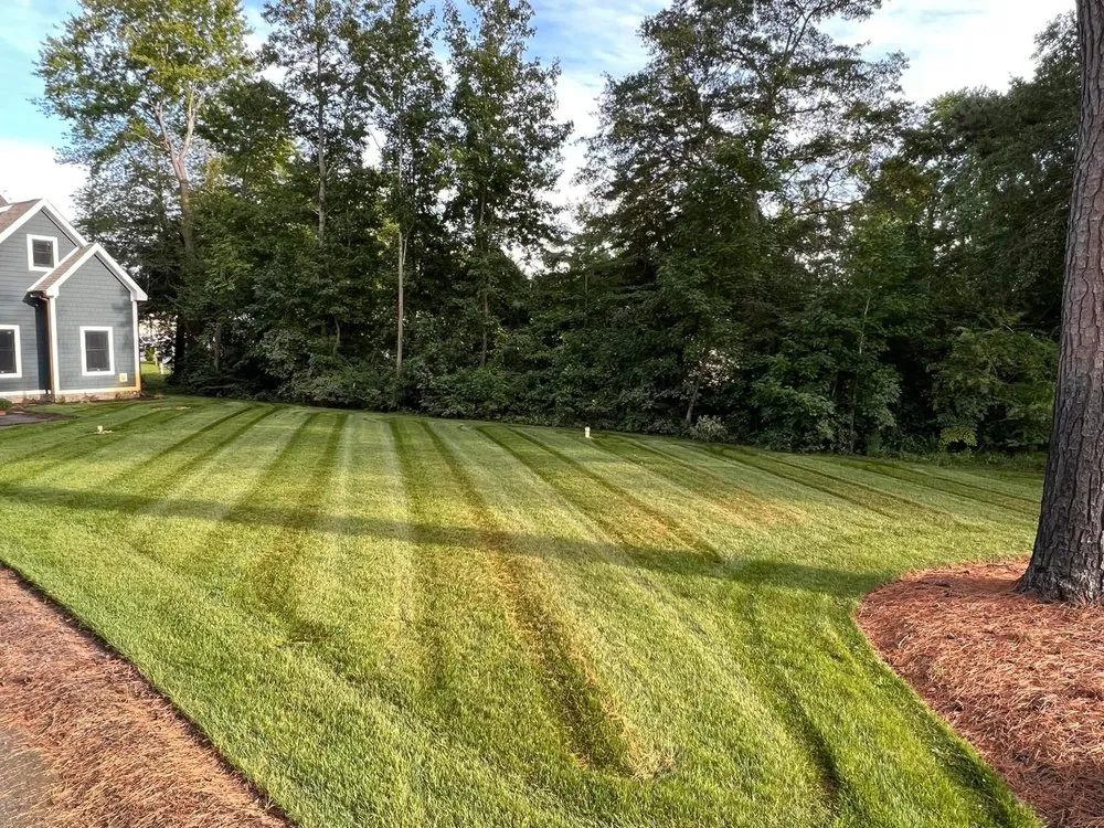 Trusted landscape installation for residential properties across Laurel, DE - Assets Appearance & Maintenance
