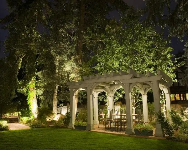 Affordable yard maintenance in Denver, CO by Associated Landscape Contractors of Colorado