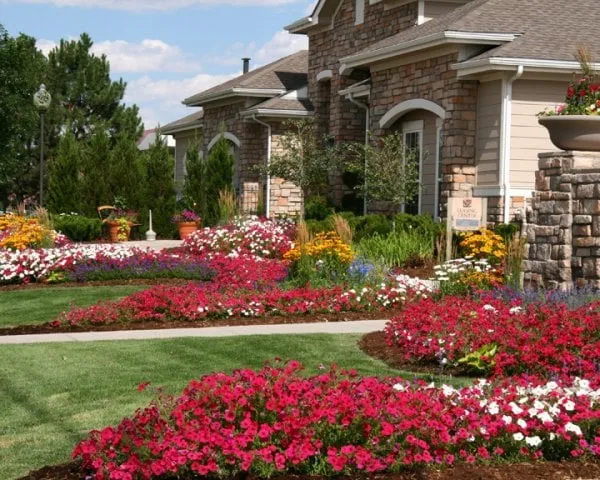 Affordable yard maintenance for homes in Denver, CO by Associated Landscape Contractors of Colorado