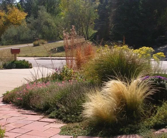 Top-rated yard cleanup service experts serving Denver, CO - Associated Landscape Contractors of Colorado