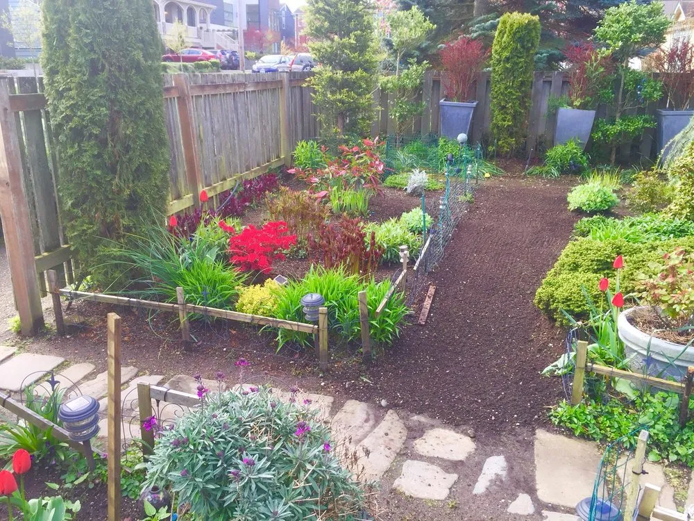 Professional outdoor landscaping experts serving Burien, WA - Associated Landscaping