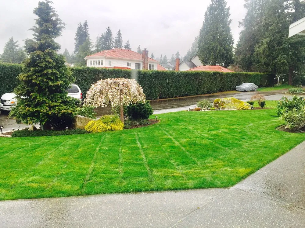 Trusted yard cleanup service with custom design across Burien, WA - Associated Landscaping