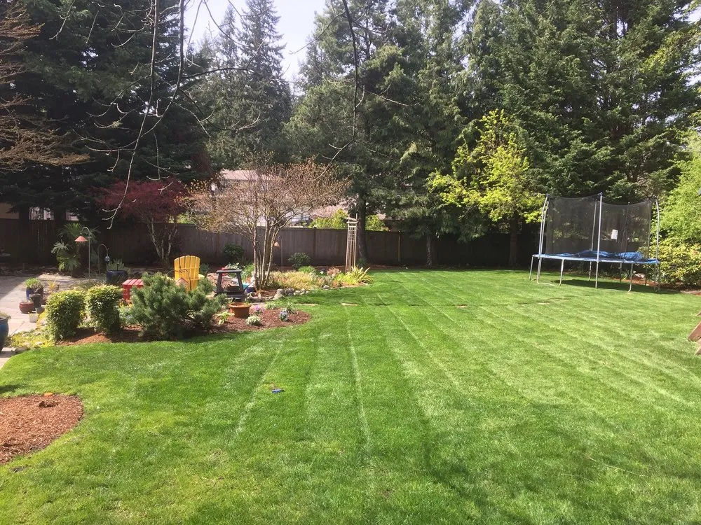 Professional yard cleanup service for homes in Burien, WA by Associated Landscaping