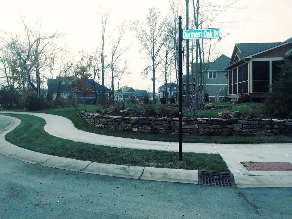 Affordable landscaping services for year-round maintenance across Indianapolis, IN - Associated Services Company