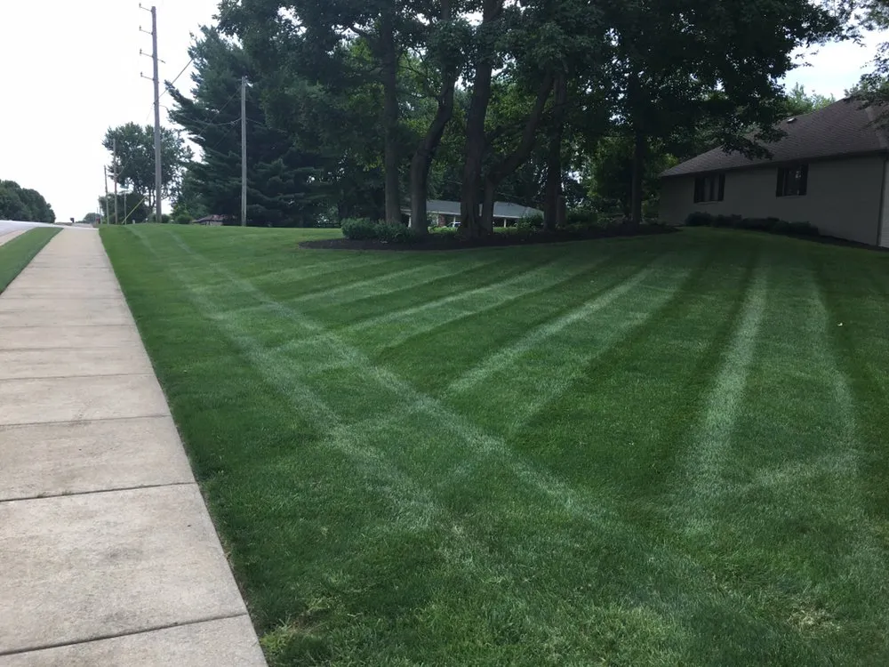 Affordable yard cleanup service near you in Indianapolis, IN by Associated Services Company