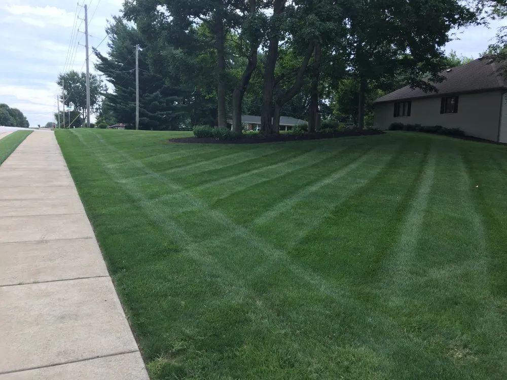 Top-rated yard maintenance in Indianapolis, IN by Associated Services Company