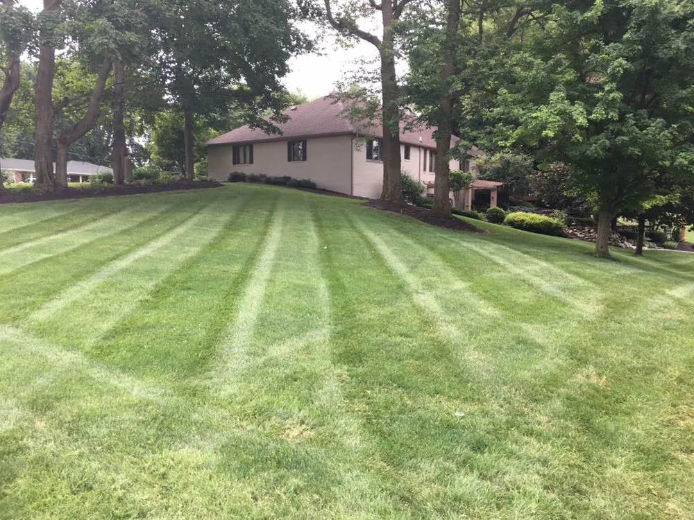 Trusted lawn care service experts serving Indianapolis, IN - Associated Services Company