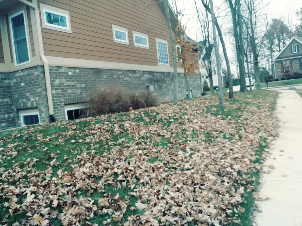 Custom landscape design in Indianapolis, IN - Associated Services Company