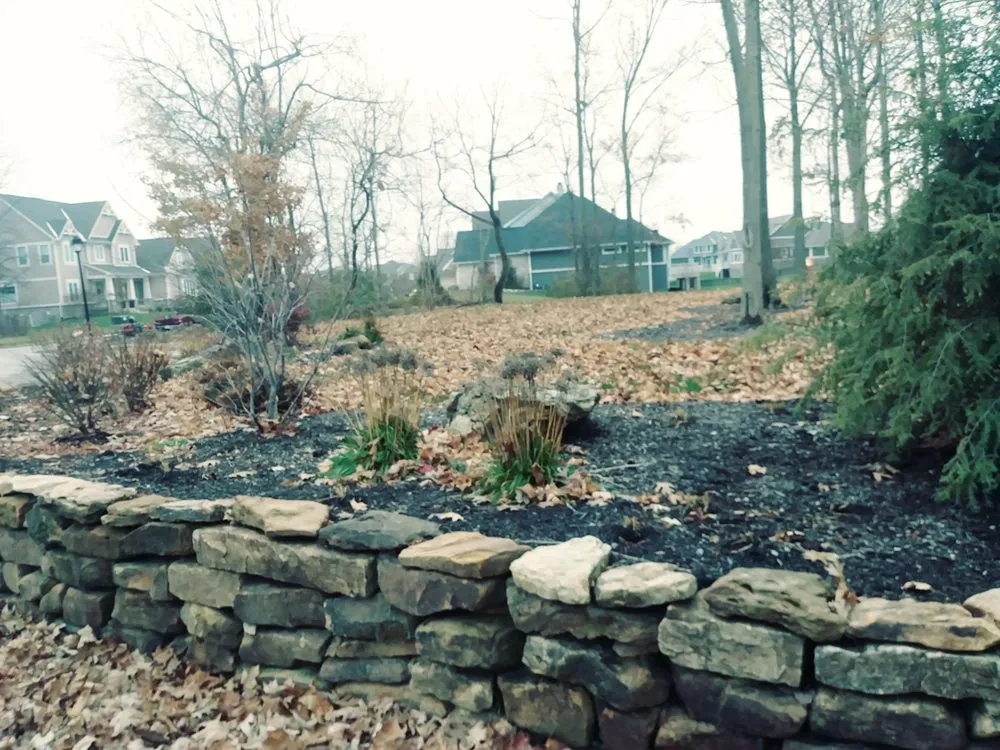 Affordable lawn care service in Indianapolis, IN - Associated Services Company