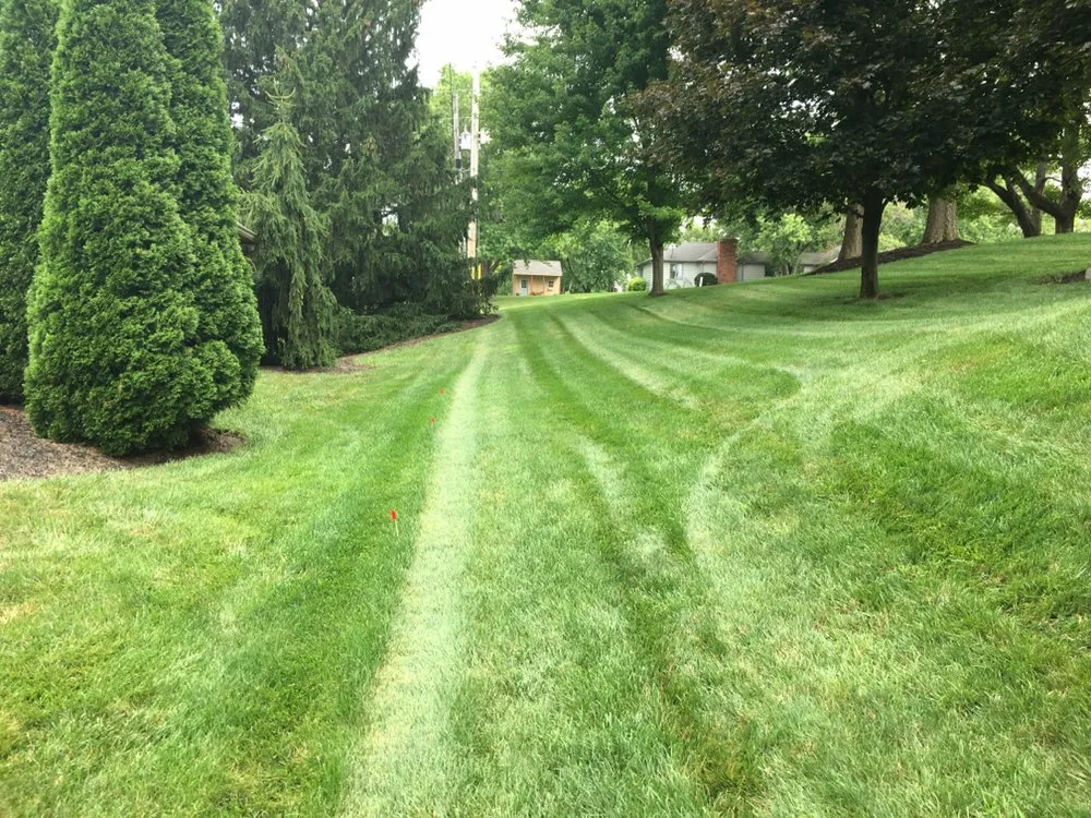 Trusted lawn mowing service in Indianapolis, IN - Associated Services Company
