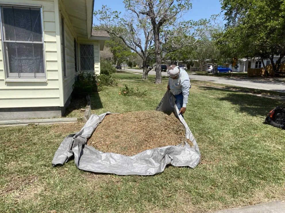 Custom lawn mowing service in CORP CHRISTI, TX - Associated Services