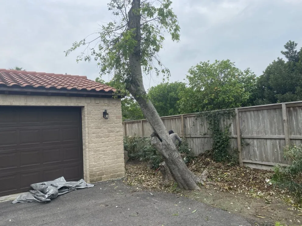 Local yard maintenance in CORP CHRISTI, TX by Associated Services