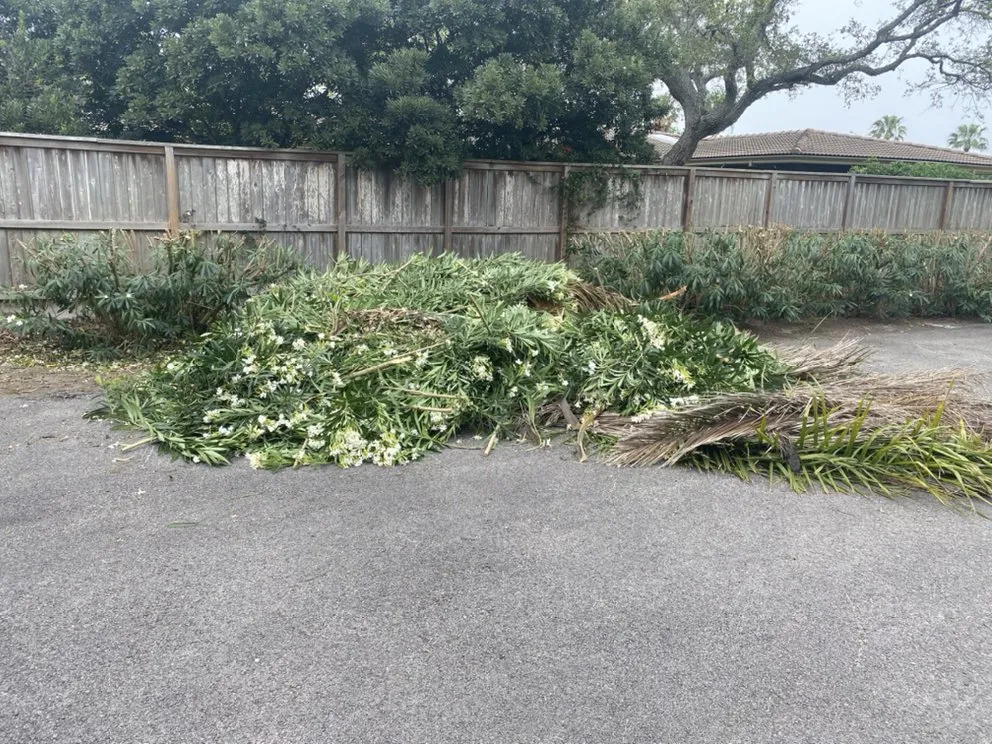 Affordable landscaping services experts serving CORP CHRISTI, TX - Associated Services