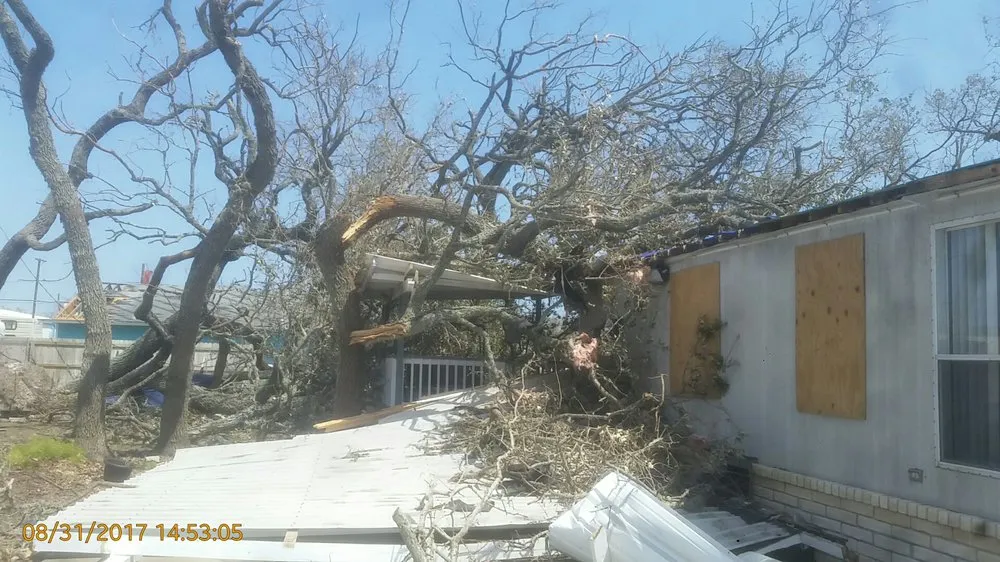 Reliable yard cleanup service experts serving CORP CHRISTI, TX - Associated Services
