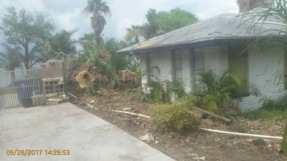 Reliable yard cleanup service near you in CORP CHRISTI, TX by Associated Services