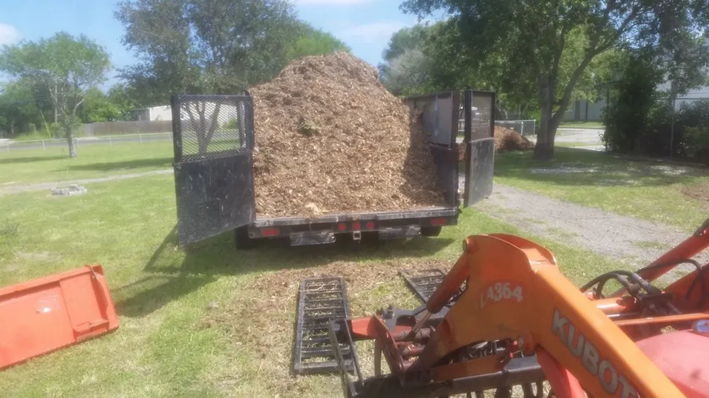 Local residential landscaping for beautiful yards across CORP CHRISTI, TX - Associated Services