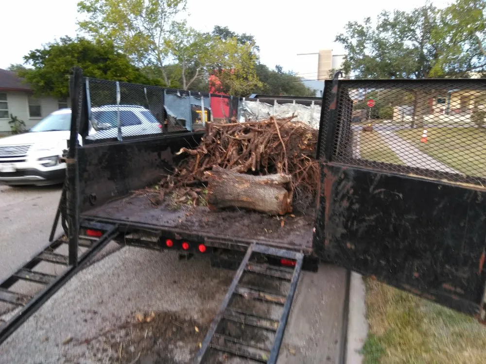 Top-rated lawn care service experts serving CORP CHRISTI, TX - Associated Services
