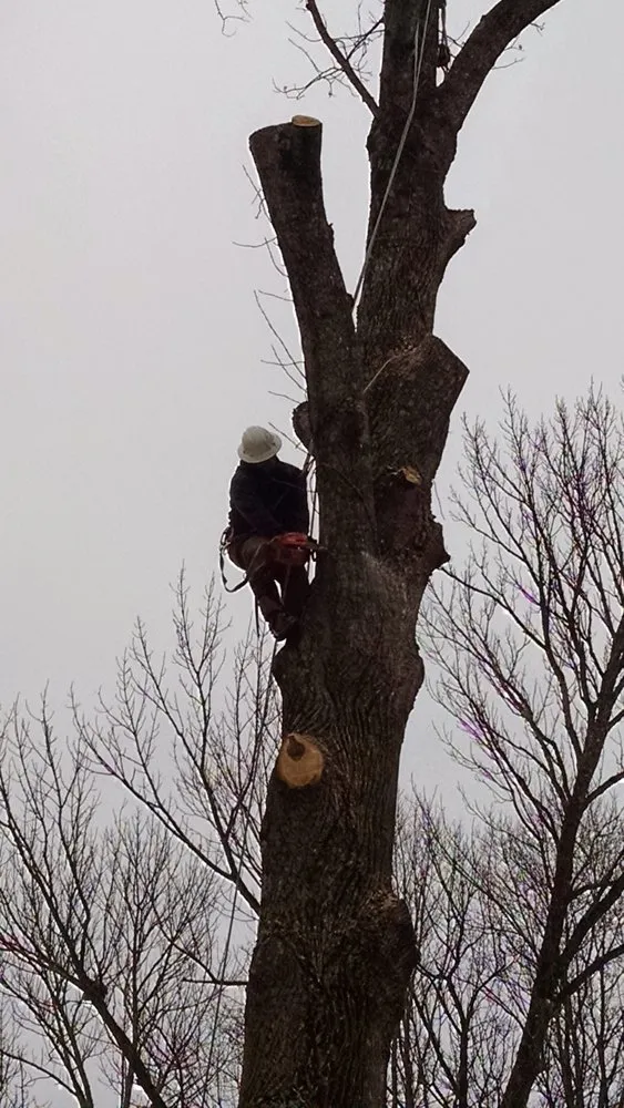 Trusted landscape installation experts serving Bloomington, IN - Associates Four Services