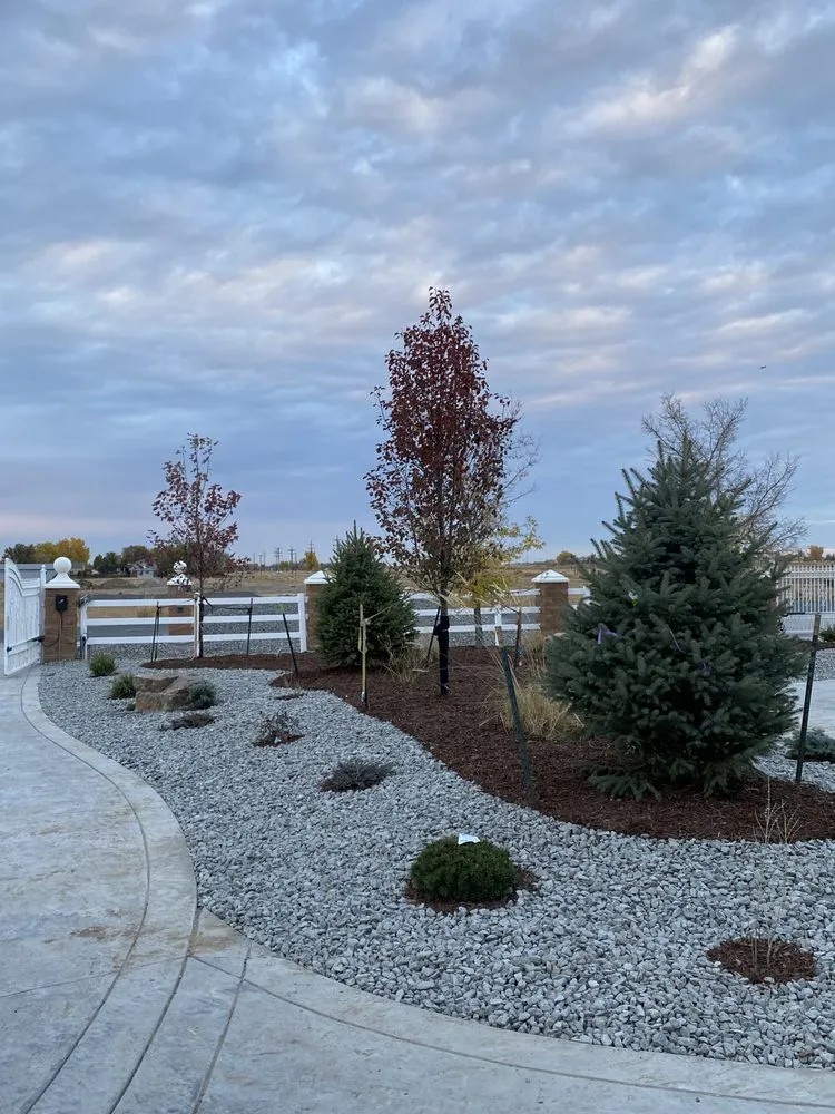 Expert lawn care service in Brighton, CO - Associates Landscape