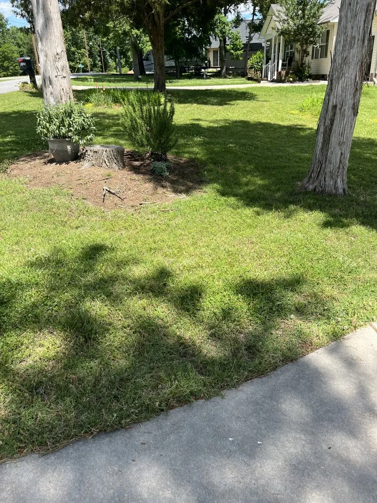 Reliable landscape design near you in Indian Trail, NC by Association Dues Mowing